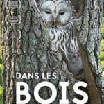 Cine rencontre - Dans les Bois de Mindaugas Survila