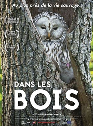 Cine rencontre - Dans les Bois de Mindaugas Survila