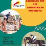 Équitation : Concours CSO SIF